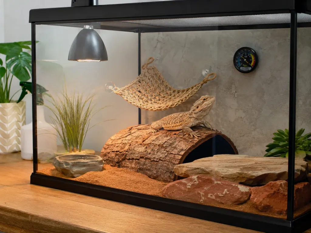 Reptiles and Amphibians